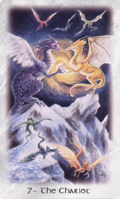 Celtic Dragon Tarot.  VII .