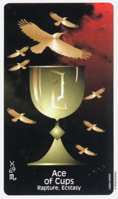 Crow's Magick Tarot.Каталог Cups01