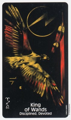 Crow's Magick Tarot.Каталог Wands14