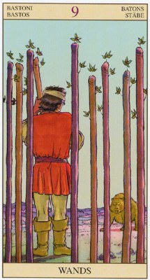 TAROT of the NEW VISION.Каталог Wands09
