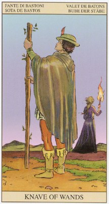 TAROT of the NEW VISION.Каталог Wands11